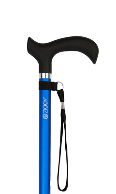 Blue Soft Touch Handle Adjustable Stick