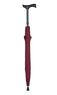 Burgundy Walking Stick Umbrella Thumbnail