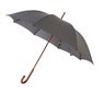 Grey Crook Umbrella Thumbnail