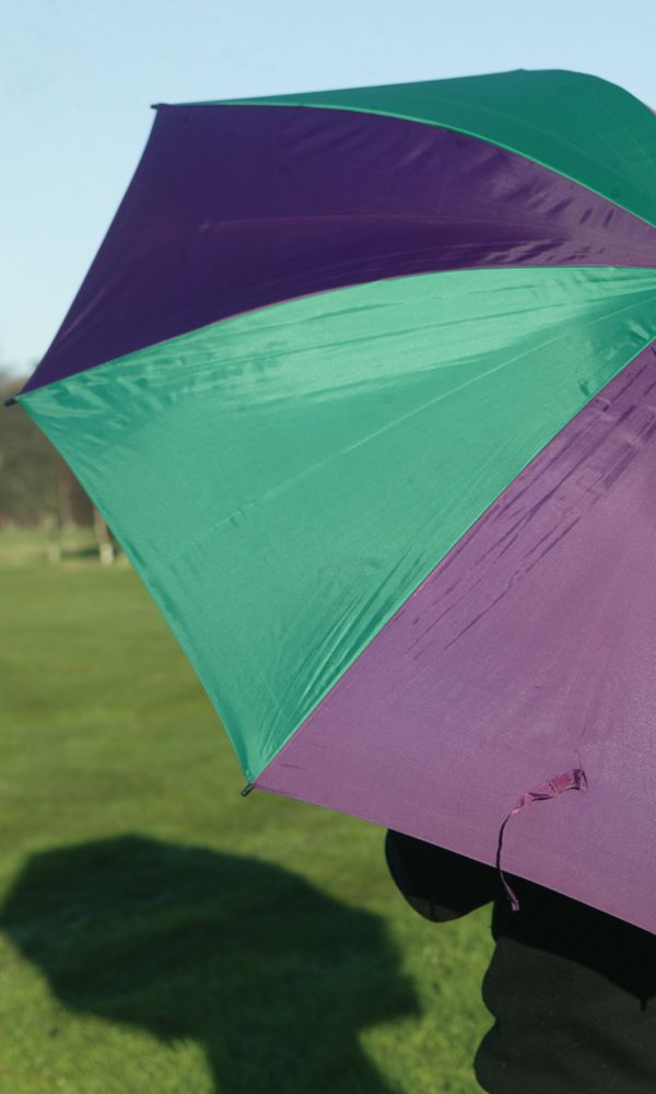 Purple/Green Golf Umbrella Umbrellas